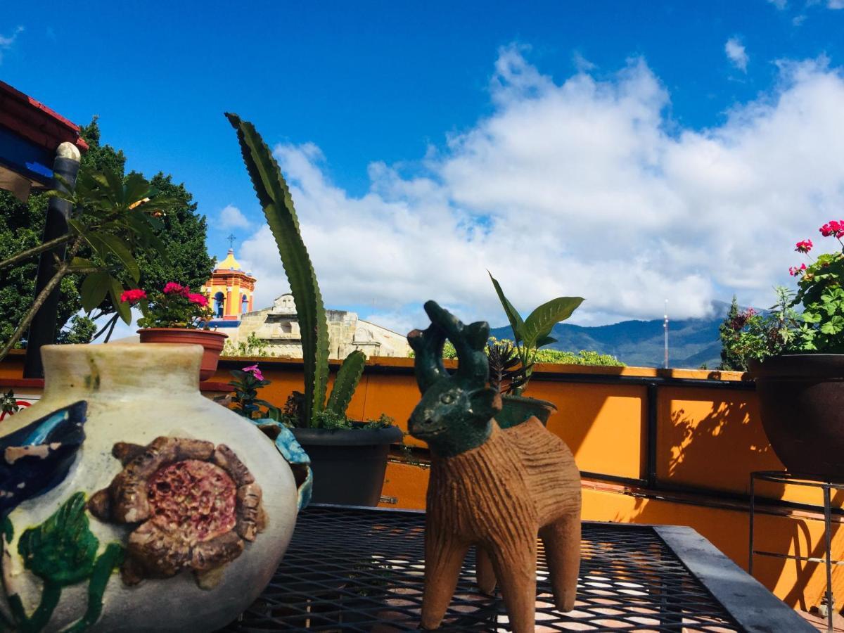 Hotel Cazomalli Oaxaca Luaran gambar